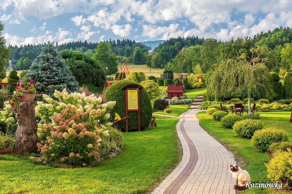 Kozinówka - Weekend listopadowy