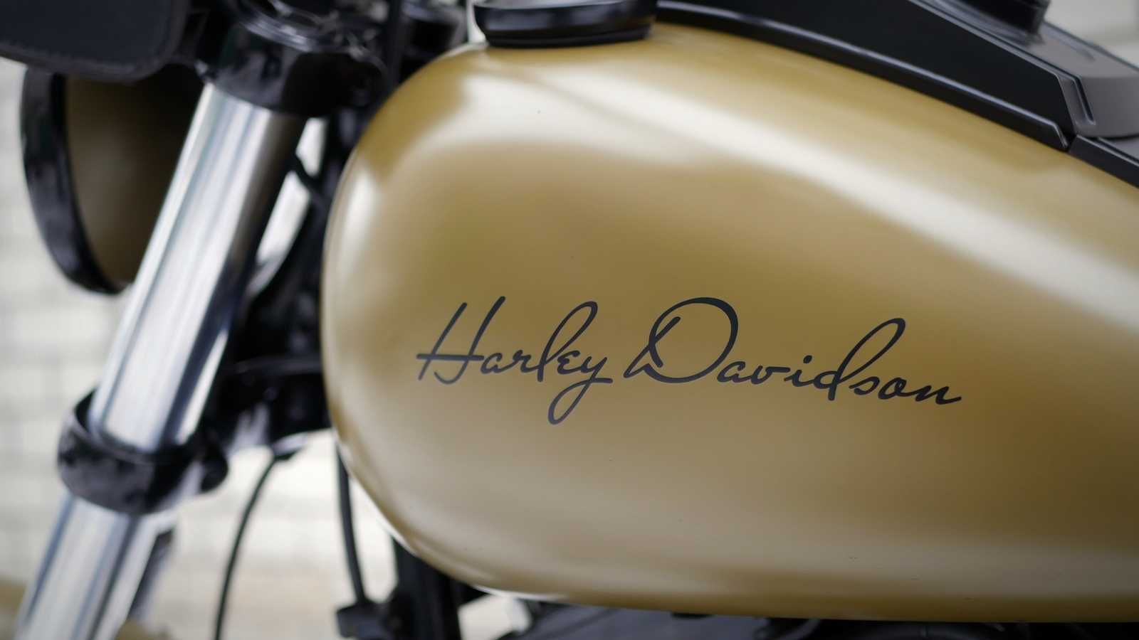 Harley-Davidson Softail Standart 2013