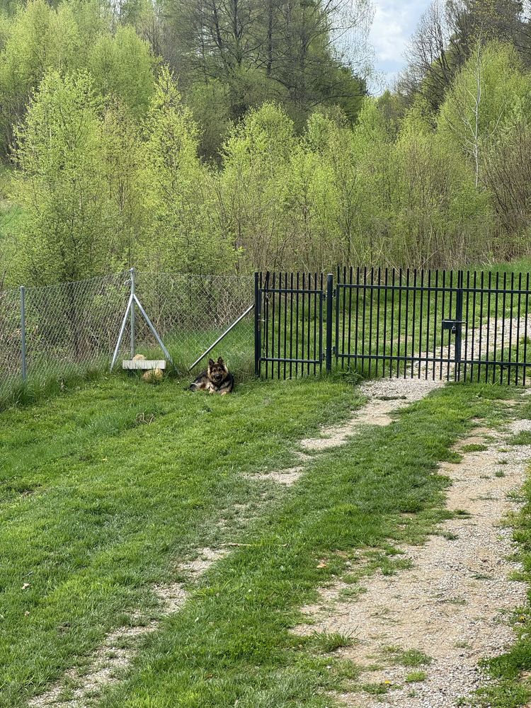 Wolne terminy! Domek w ciszy i głuszy :) Biesal gmina Gietrzwałd