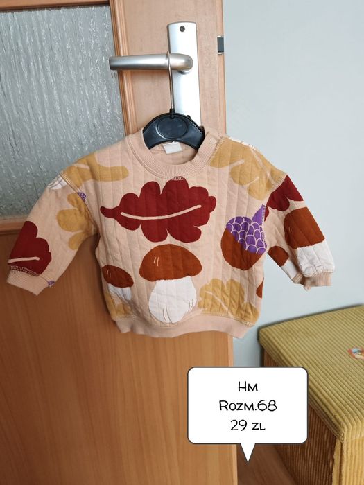 Bluza hm liście grzyb