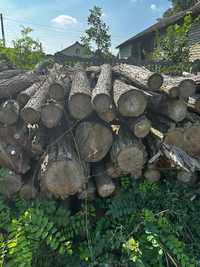 Drewno akacjowe opałowe