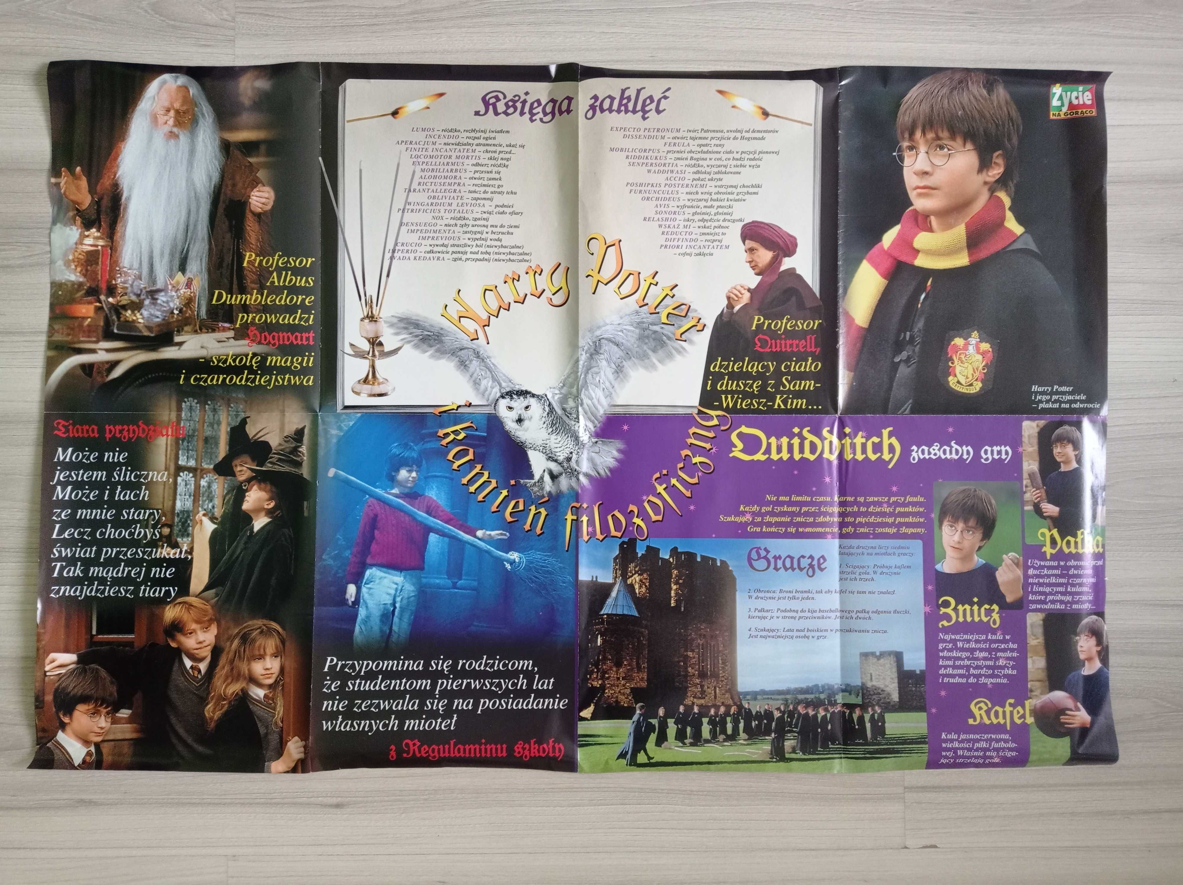 Plakat Harry Potter, dwustronny, Życie na gorąco