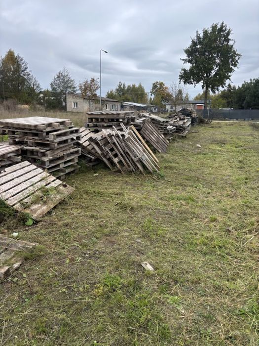 Palety drewniane sprzedam