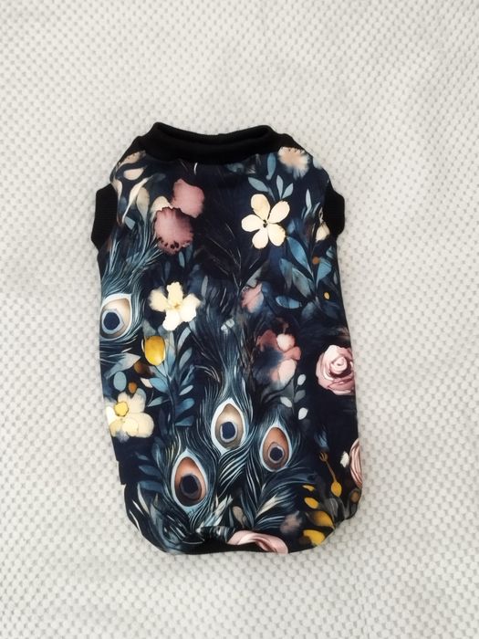 Ubranko dla Sfiksa, Sphynx, Devon rex