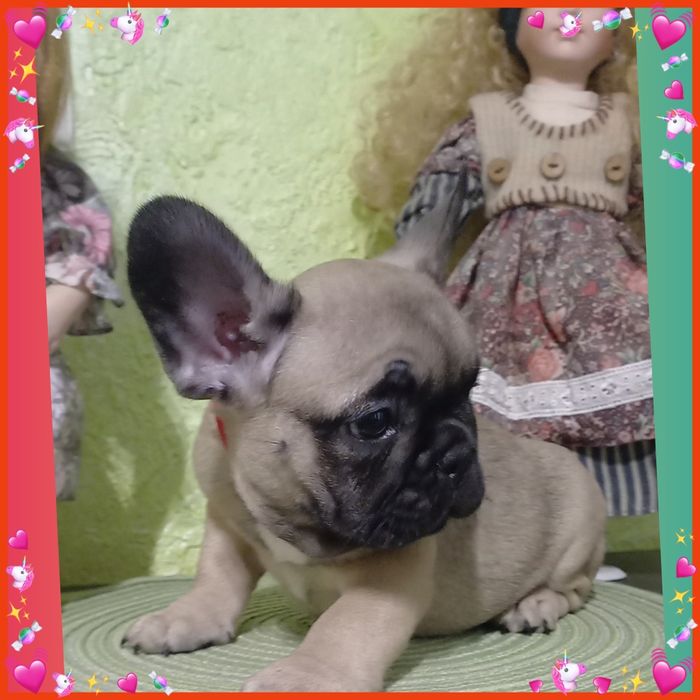 Дуже гарна малеча