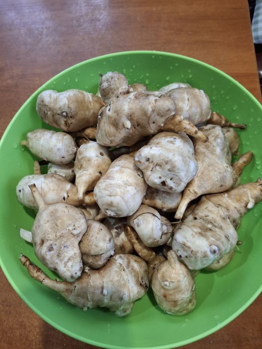 Топінамбур свіжий