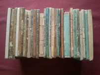 Brinde Diário Notícias-31 Volumes-1866/98