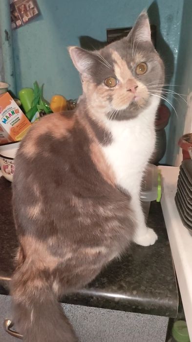 Яркая сочная карамелька. Девочка.