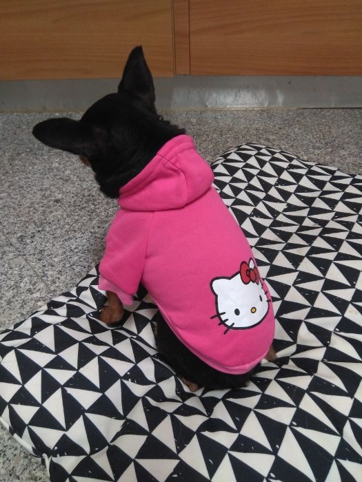 Camisola Hello Kitty de Inverno para gato / cão de porte pequeno