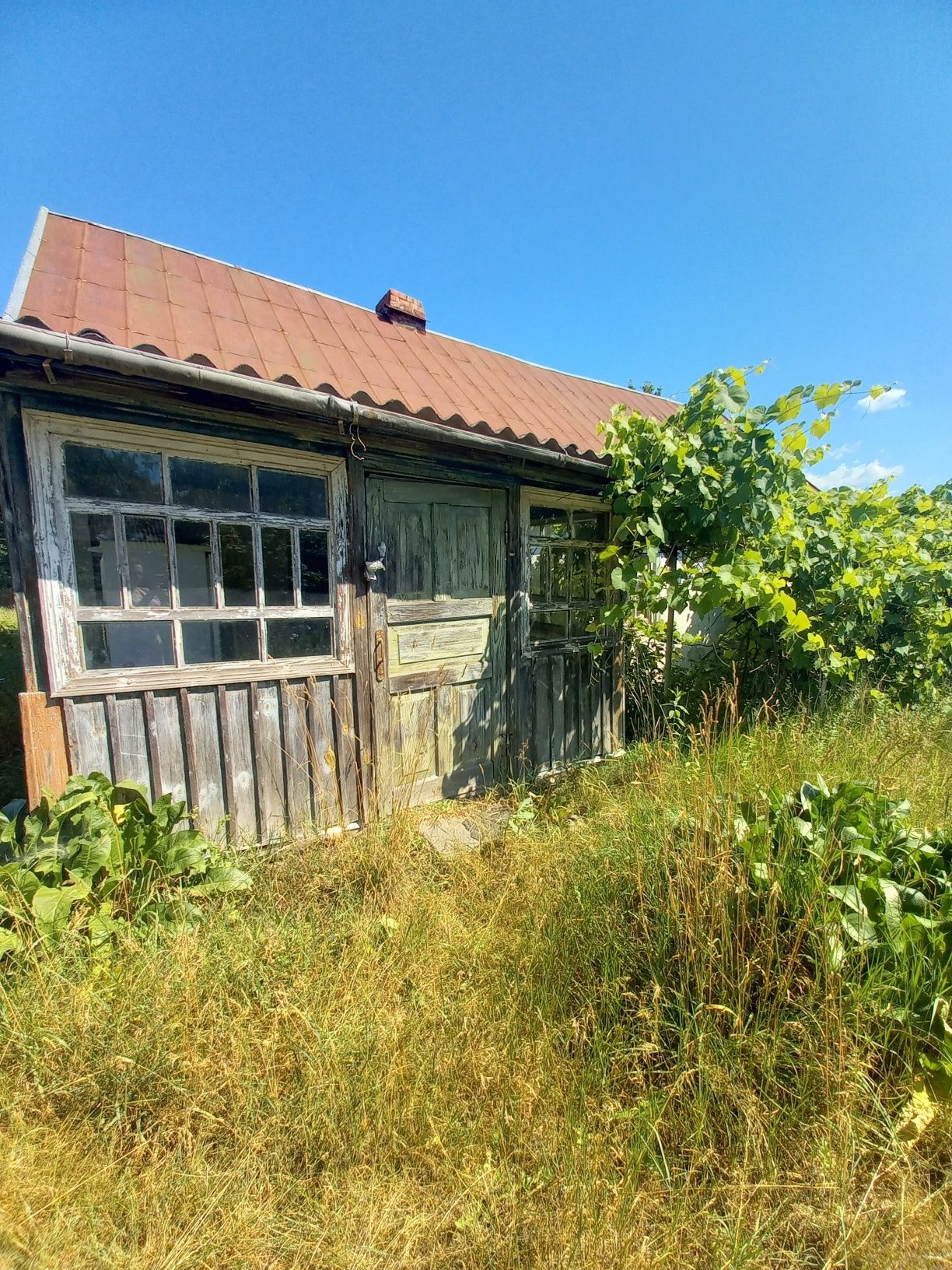 Продам будинок з ділянкою в Денішах