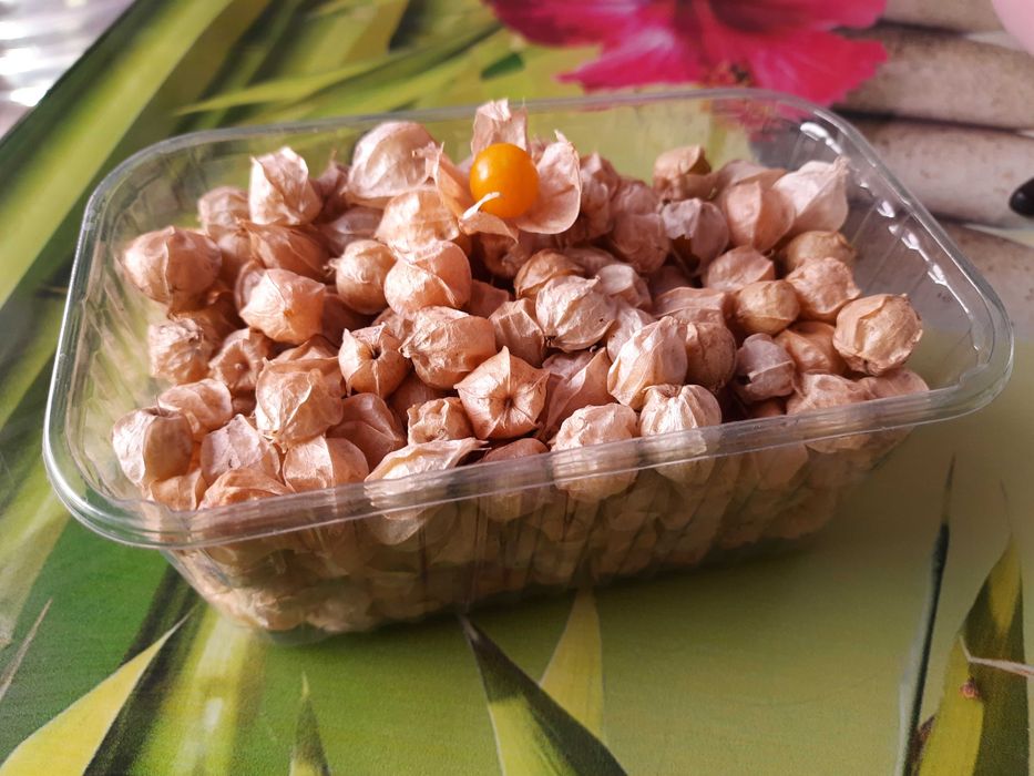 Насіння суничного фізалісу