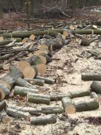 Продам дрова твердих порід до 20.03 знижка