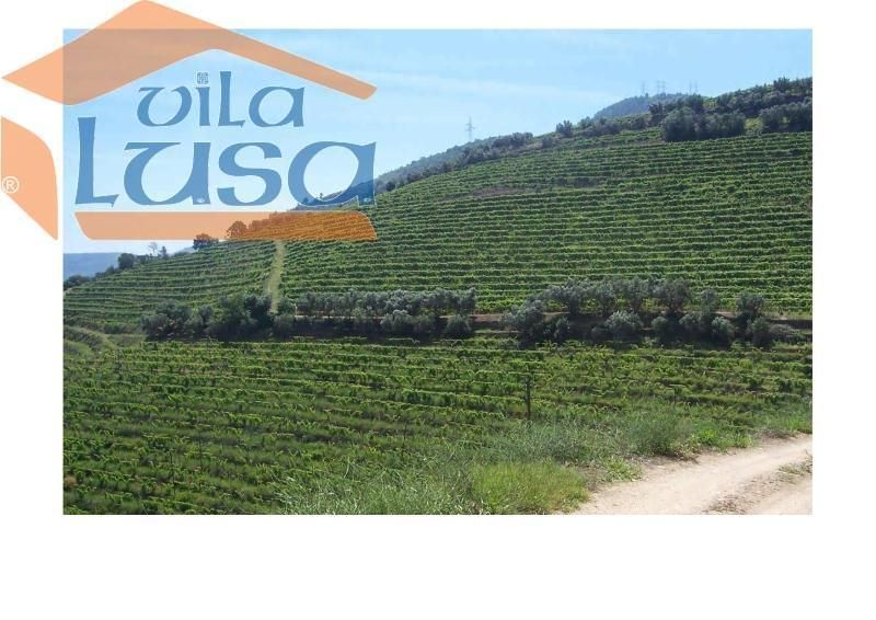 Quinta no Douro Margem Esquerda