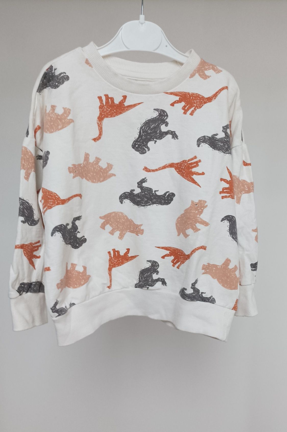 Bluza w dinozaury
