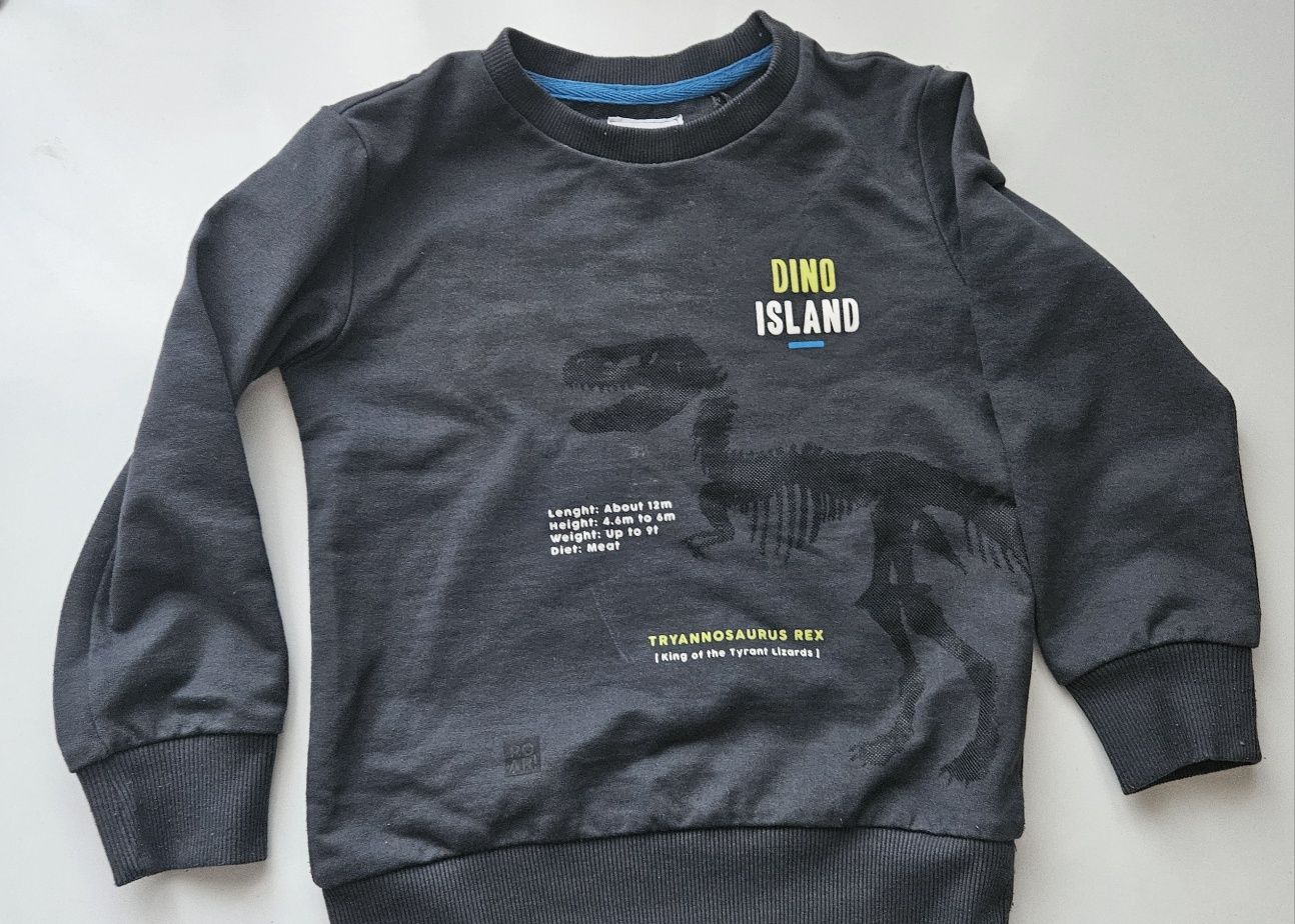 Bluza z dinozaurem Reserved 110