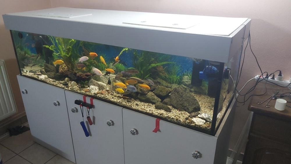 Akwarium 540L kompletne