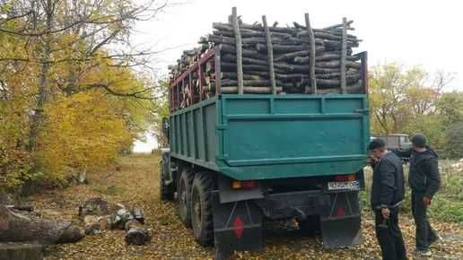 Дрова найкраща ціна у Львові БУК ДУБ ГРАБ колоті метровки копки