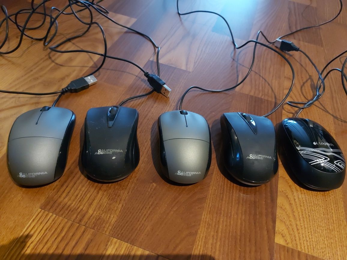 Mysz myszka komputerowa California Access 18 sztuk