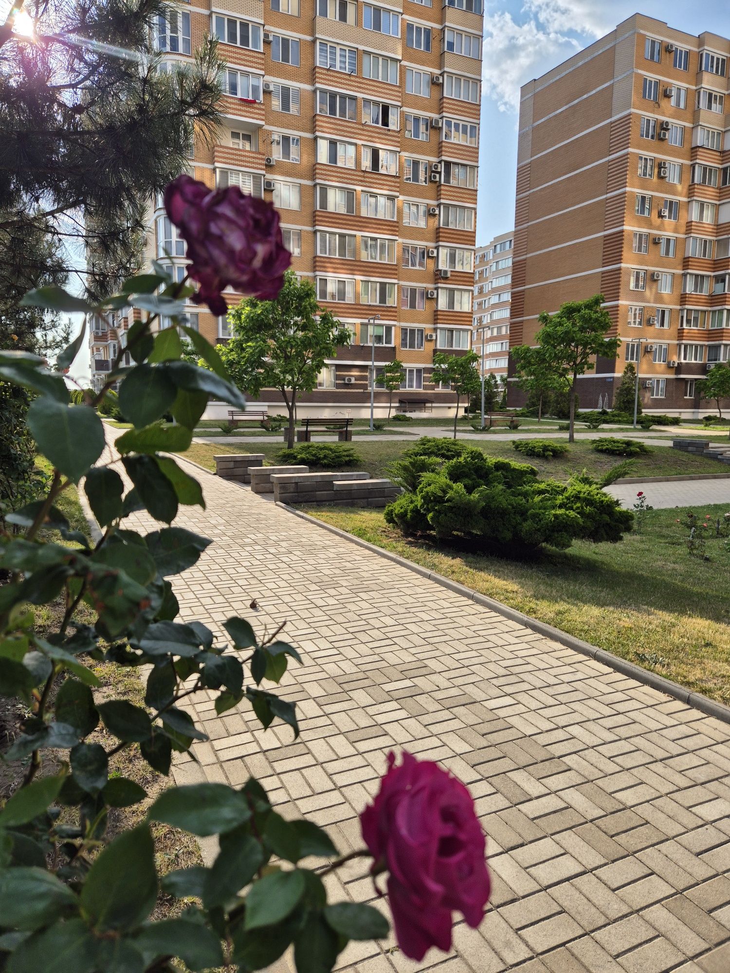 Сдам посуточно 1-но комнатную в Цветном Бульваре