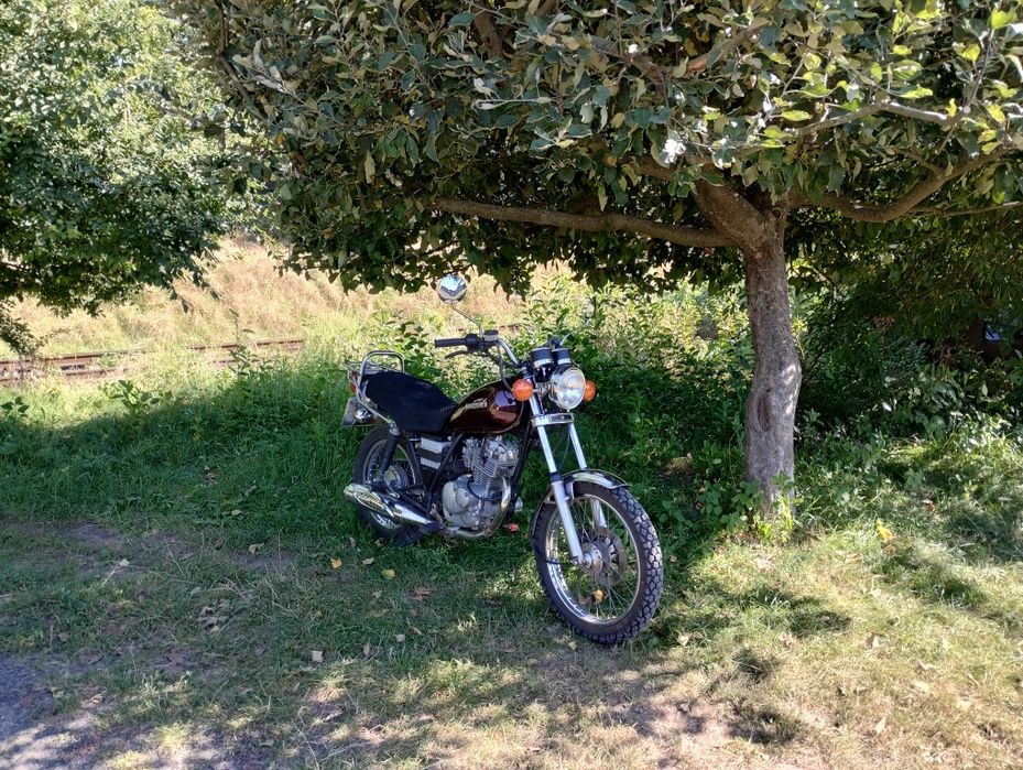Suzuki gn 125 japan