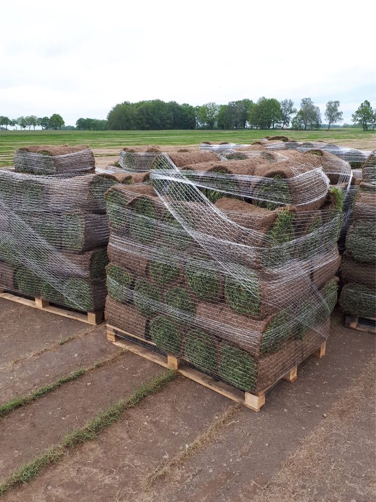 Trawa z rolki premium, polska produkcja, transport, wysyłka kurierem