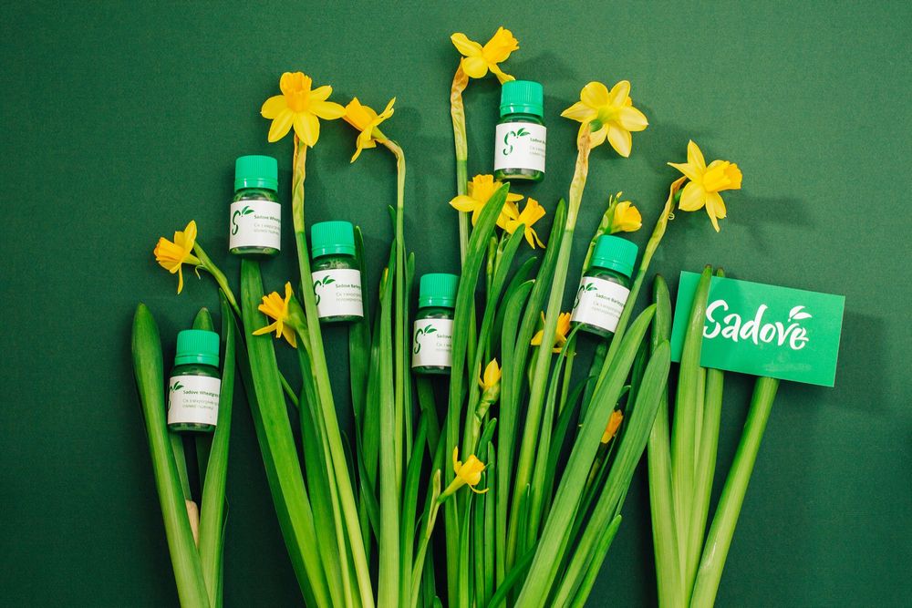 Лікувальний сік з Броколі, паростки БОКОЛІ, пророщене насіння та зерно