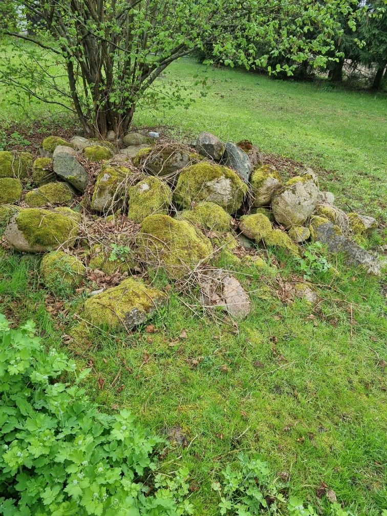 Kamienie polne głazy Bronisin Romanów kamień polny otoczak na skalniak