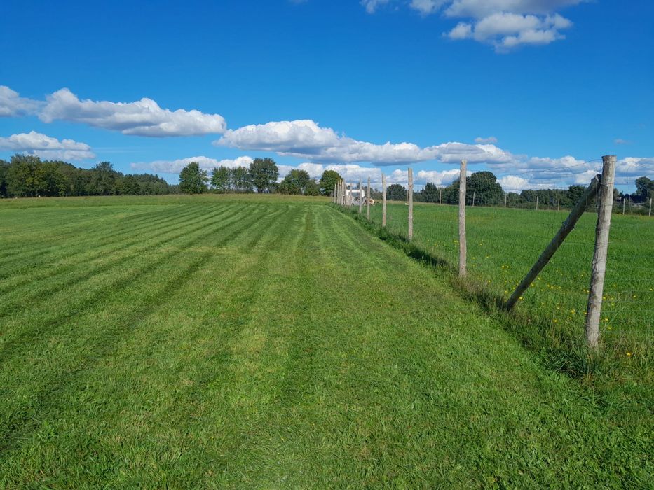 Sprzedam 1 z 3 działek budowlanych koło Białogardu