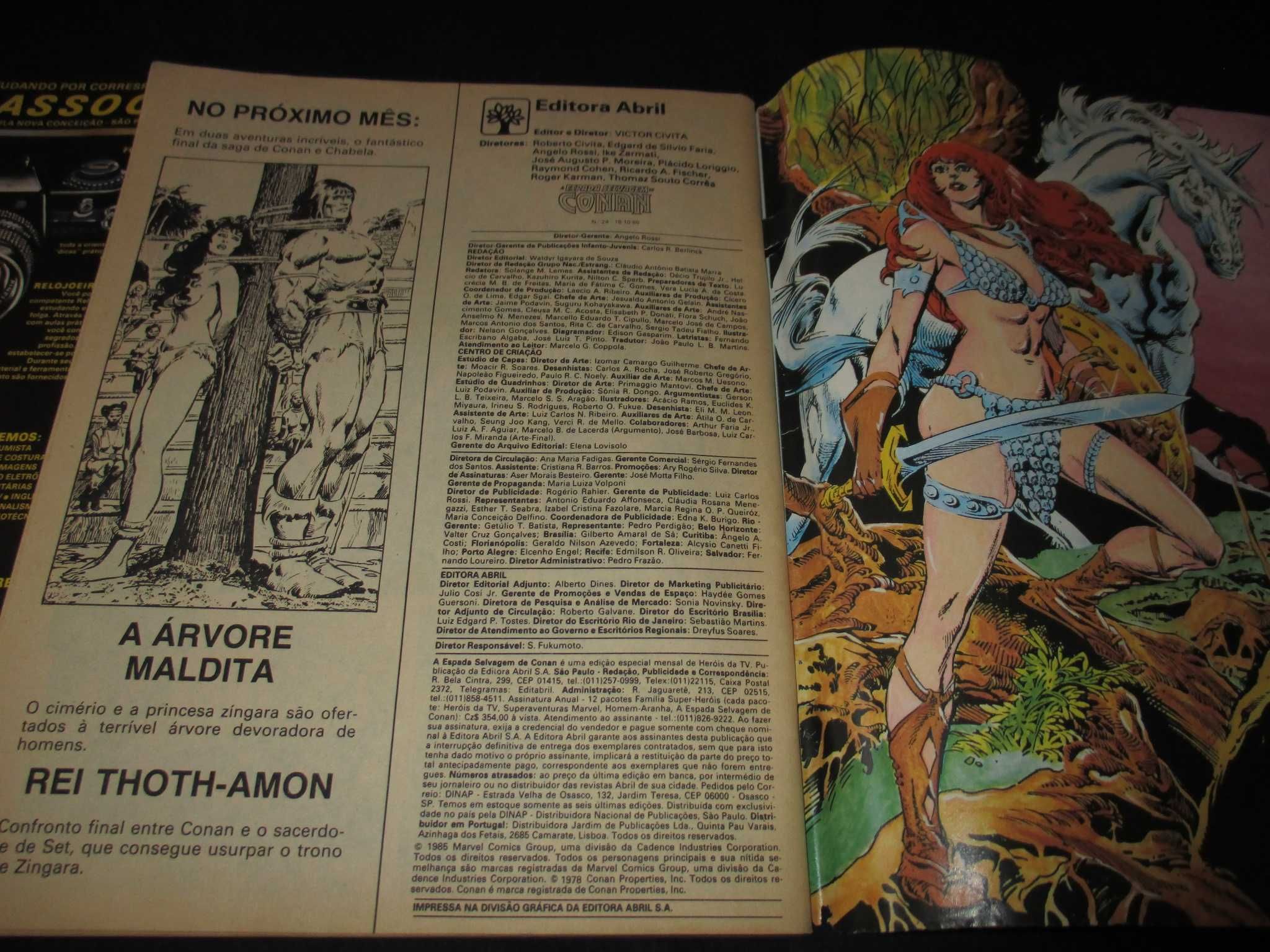 Livros BD A Espada Selvagem de Conan A4 Marvel