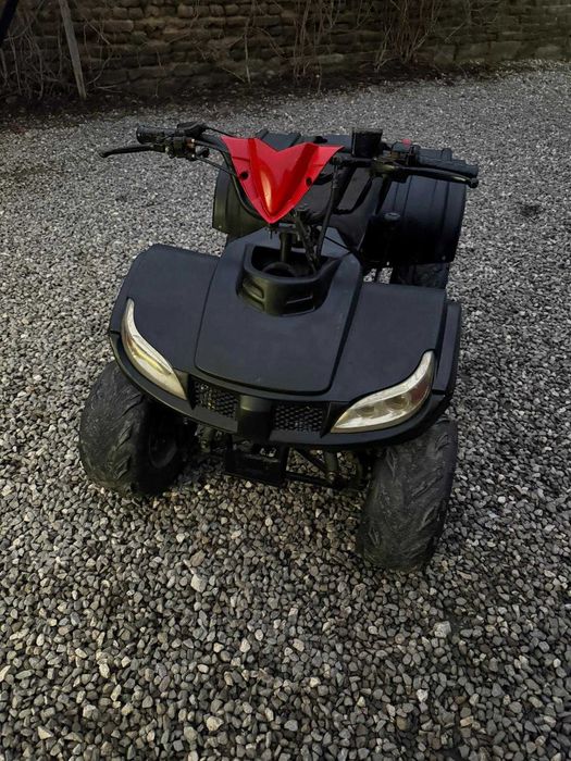 Quad ATV 110 1+1