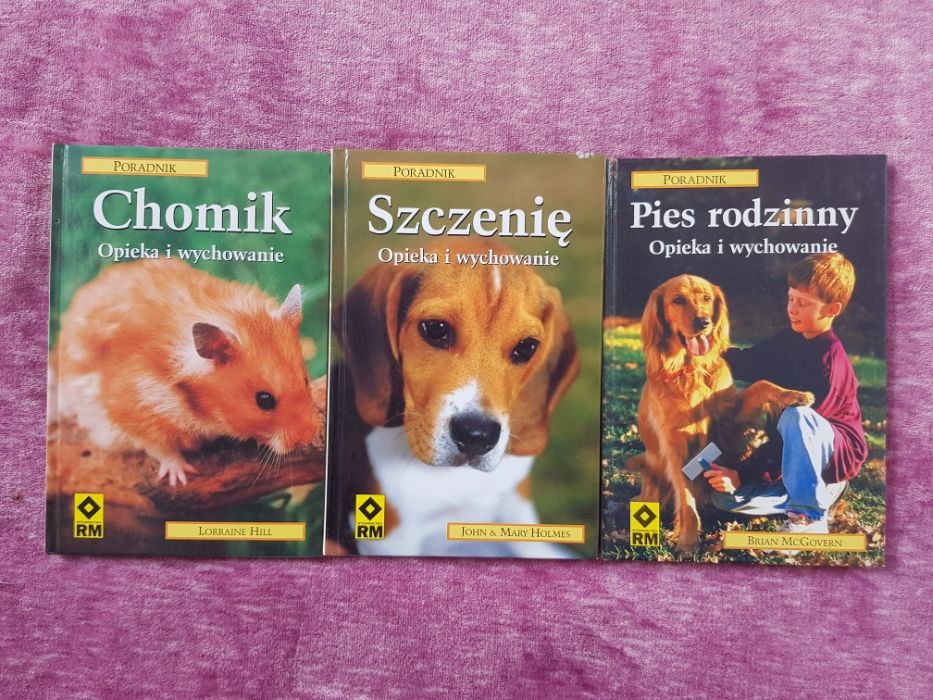 Pies rodzinny, Szczeniak, Chomik