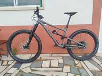 Specialized Status 160