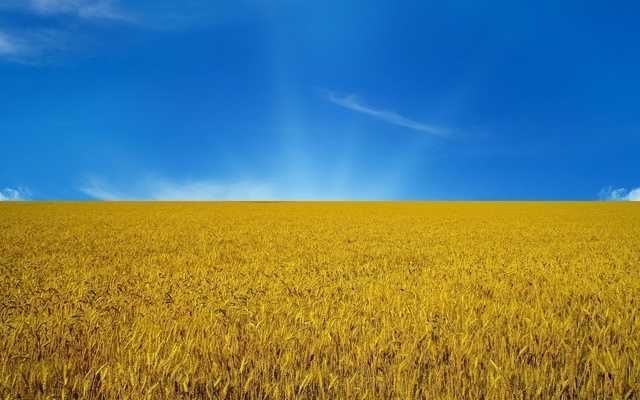 Візи | Запрошення в Україну для іноземців