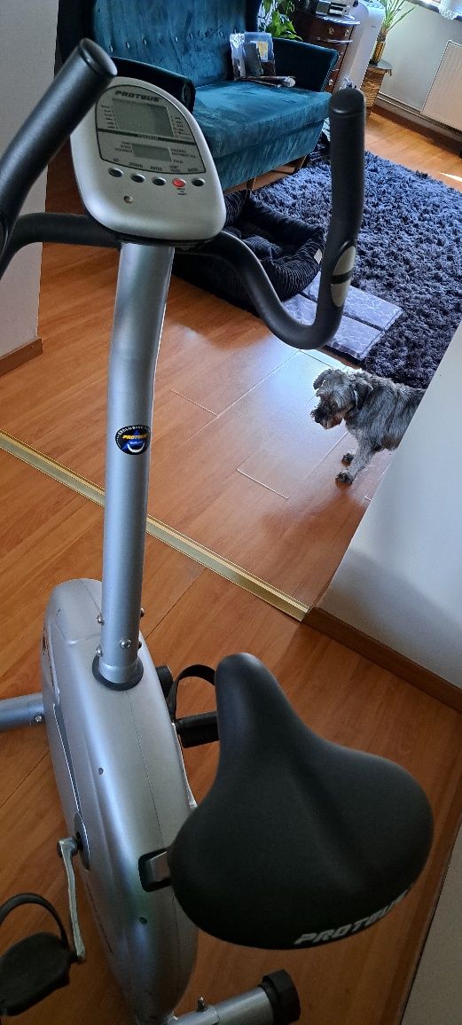 Rower stacjonarny Proteus 2055