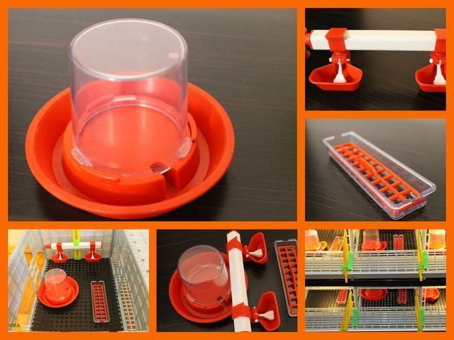 Odchowalnik dla piskląt - Dodatkowy Poziom - Wys. 40 cm