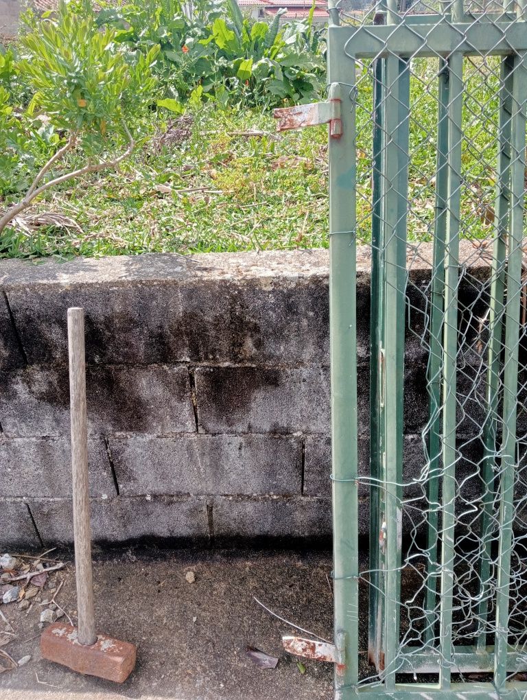 Portão de ferro em muito bom estado