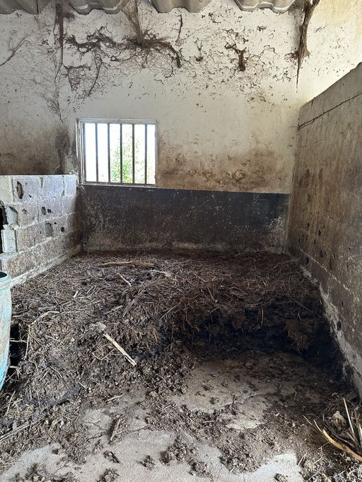 Dou estrume de Cavalo Curtido - Granel