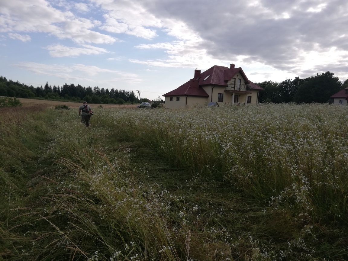 Koszenie traw trawników rowów i innych nieużytków. Woj: podkarpackie
