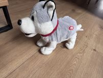 Interaktywny pies husky Figo