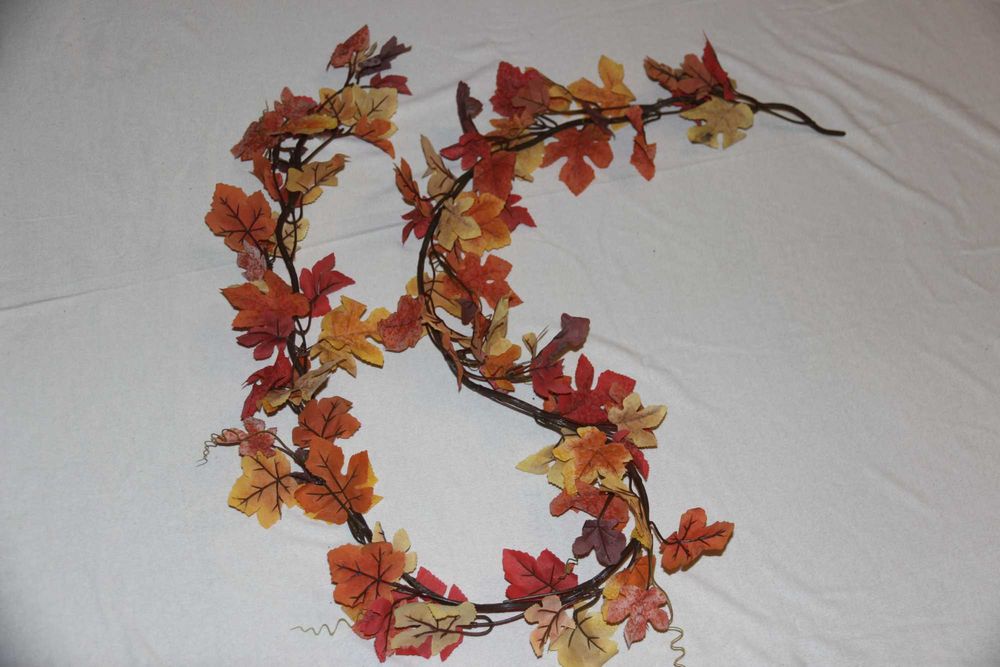 Gałazka jesiennego klonu