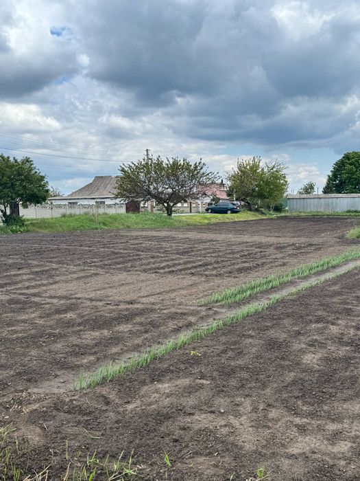 Продам земельну ділянку на Таращанському