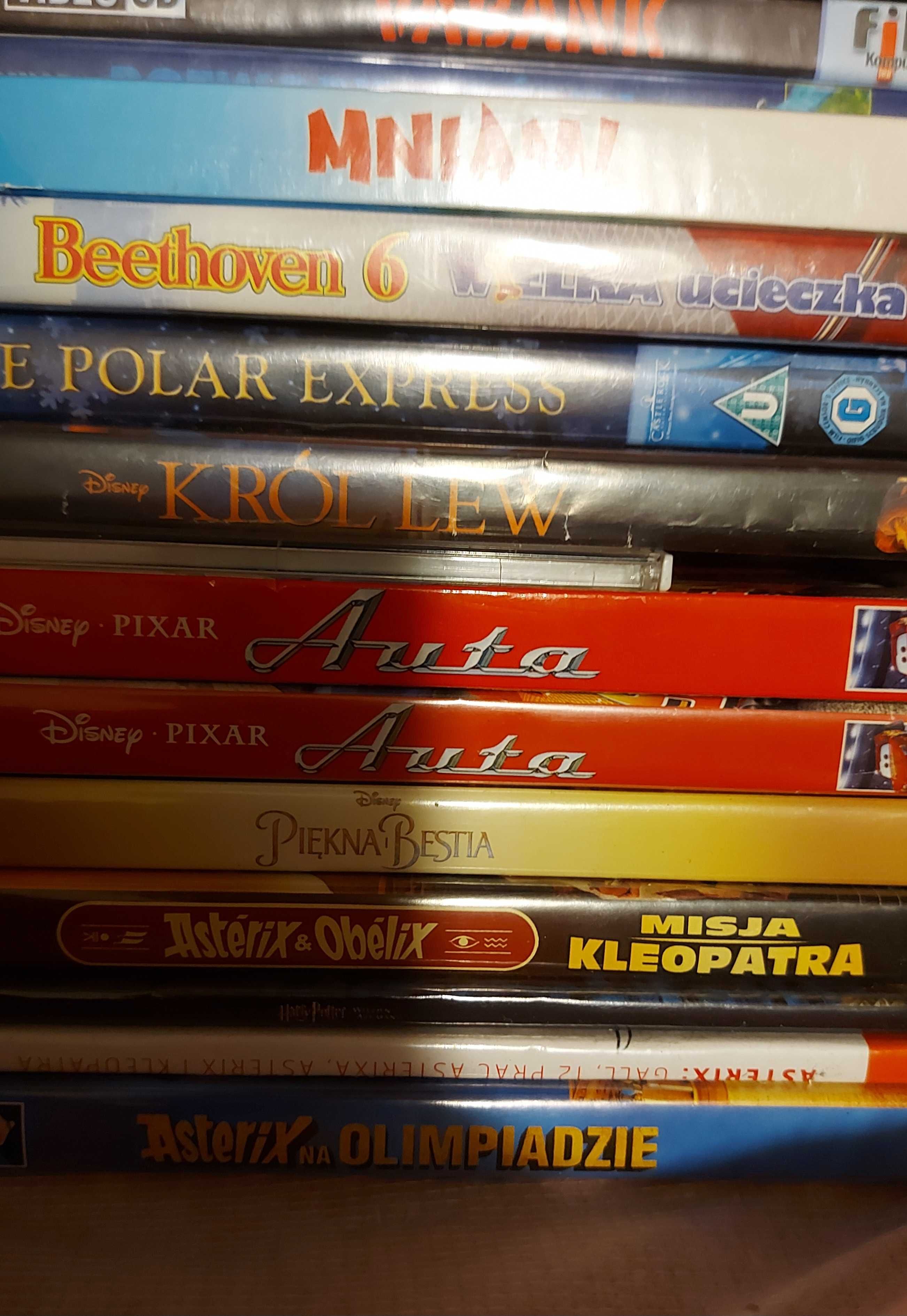 Bajki DVD, Auta, Shrek, Panda, Alvin, Asterix