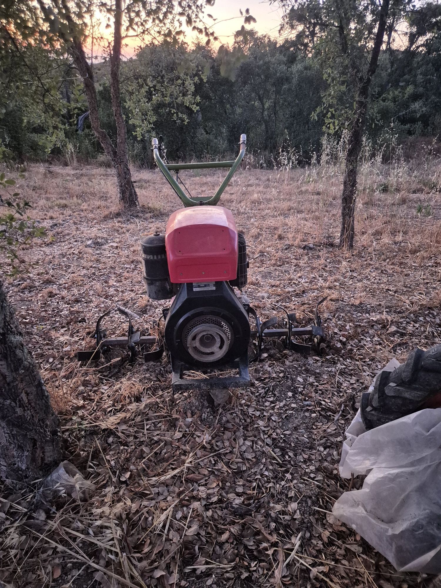 Motoenxadas Agria 7000-c