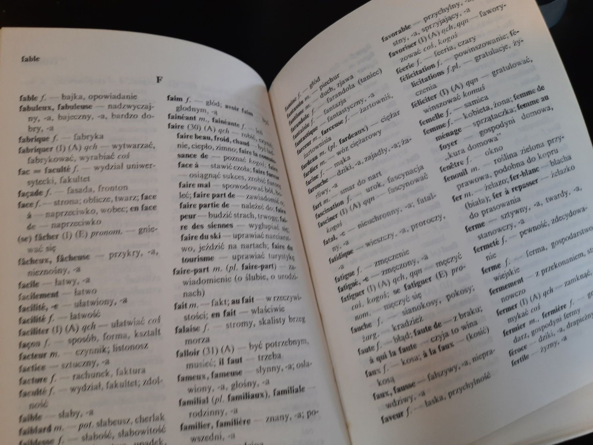 Szkolny słownik francusko polski