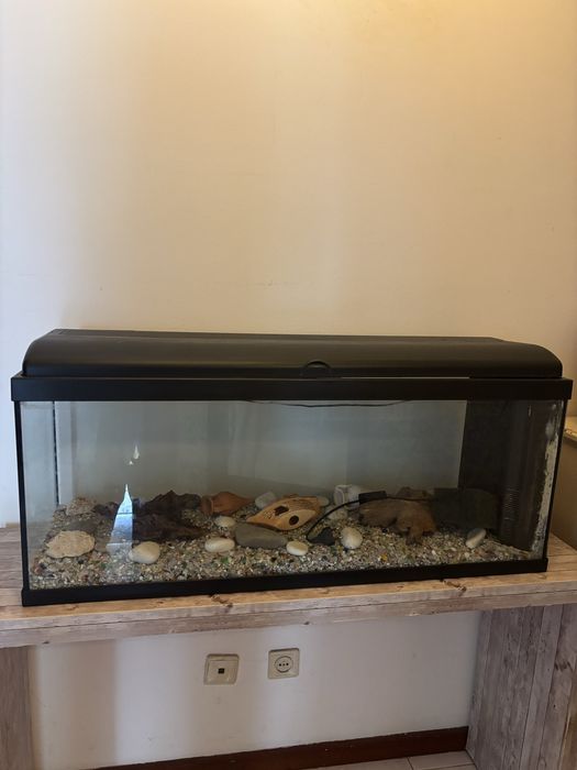 Aquário como novo