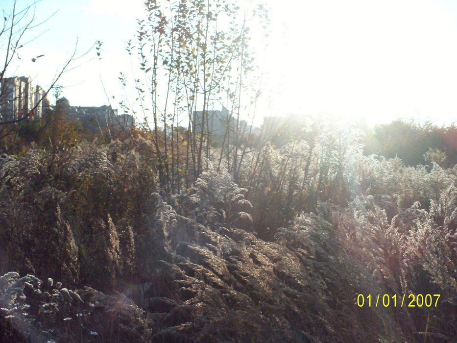 Цифрова камера/ Цифровий фотоапарат ergo DC 50