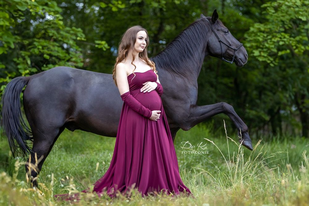 Sesja zdjęciowa z koniem. Koń do zdjęć, wynajem. Fotografia koni