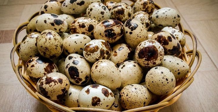 Домашні перепелині яйця