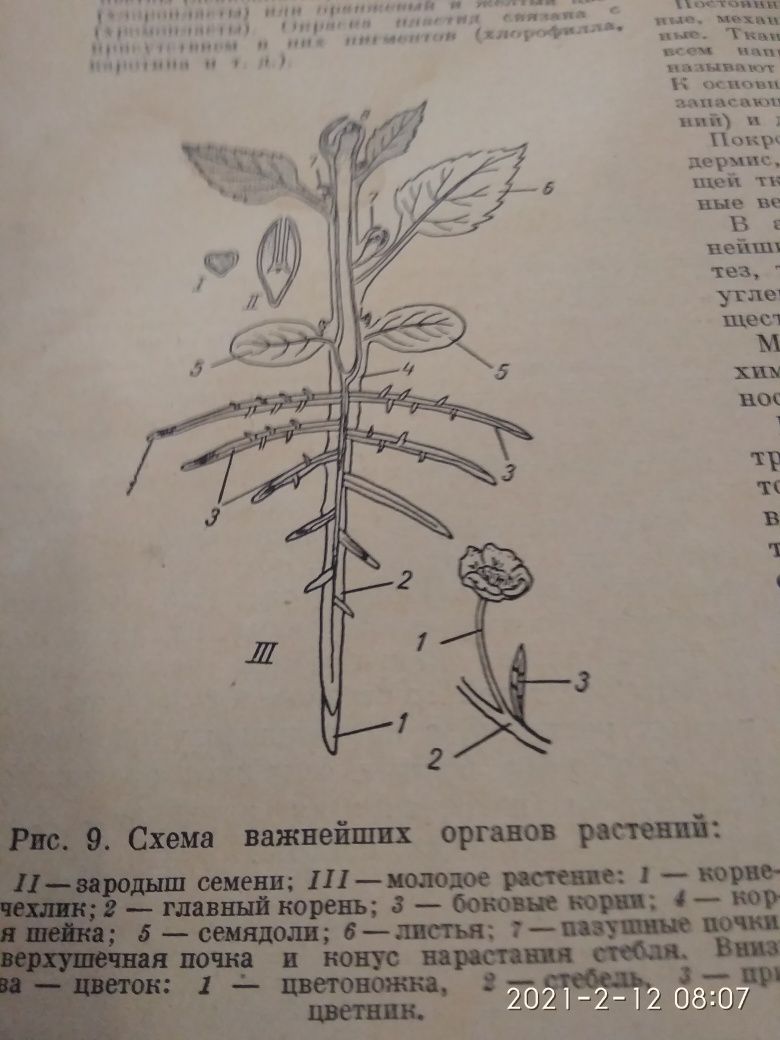 Старовинна книга "Комнатное садоводство" 1956, Москва