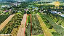 Działka rolna | 2 ha sadu w jednym kawałku | gm. Sadkowice